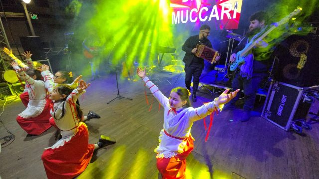 Davis Muccari in concerto